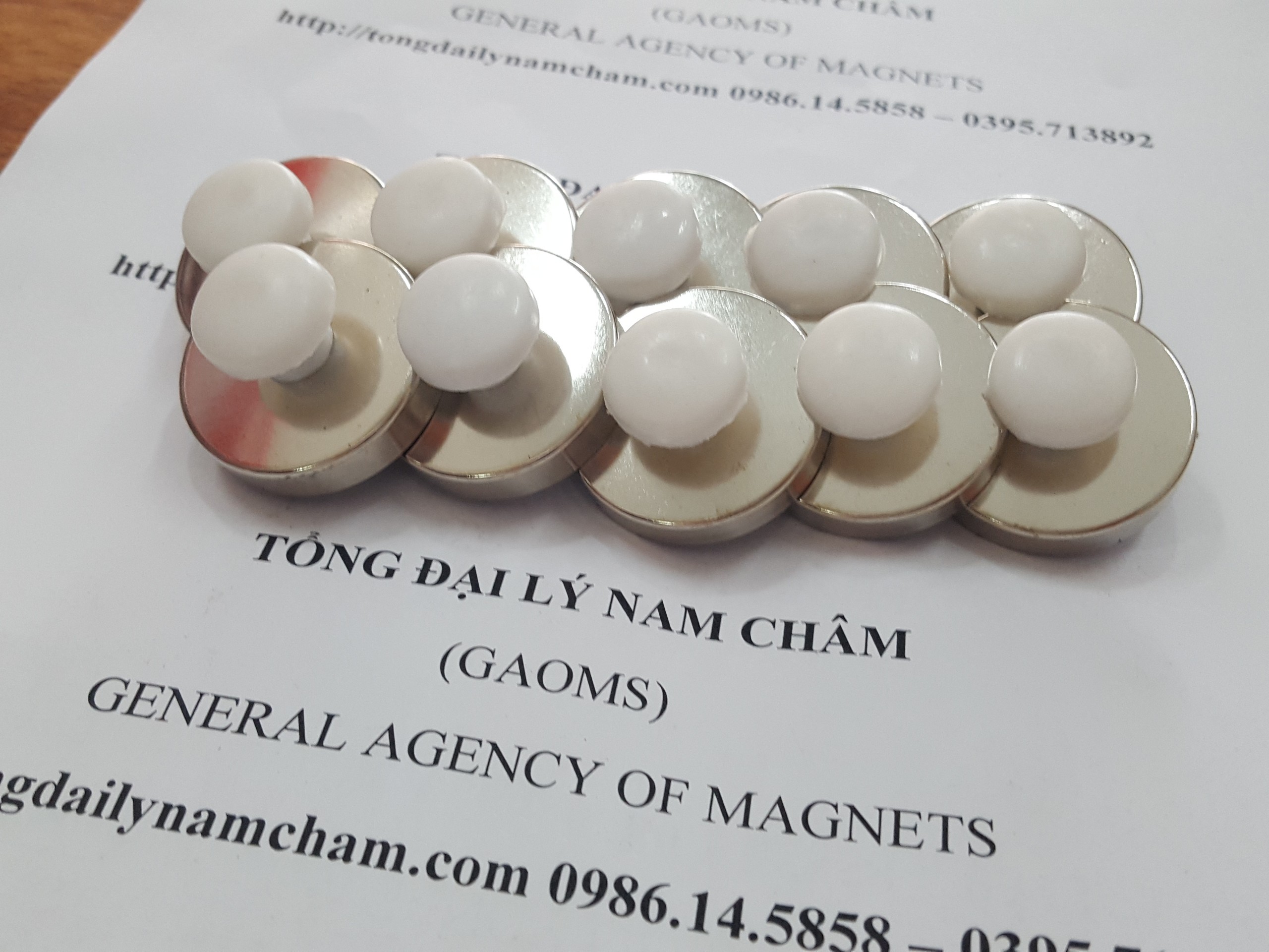 Nam châm đính bảng D32, có núm trắng- 10 cái