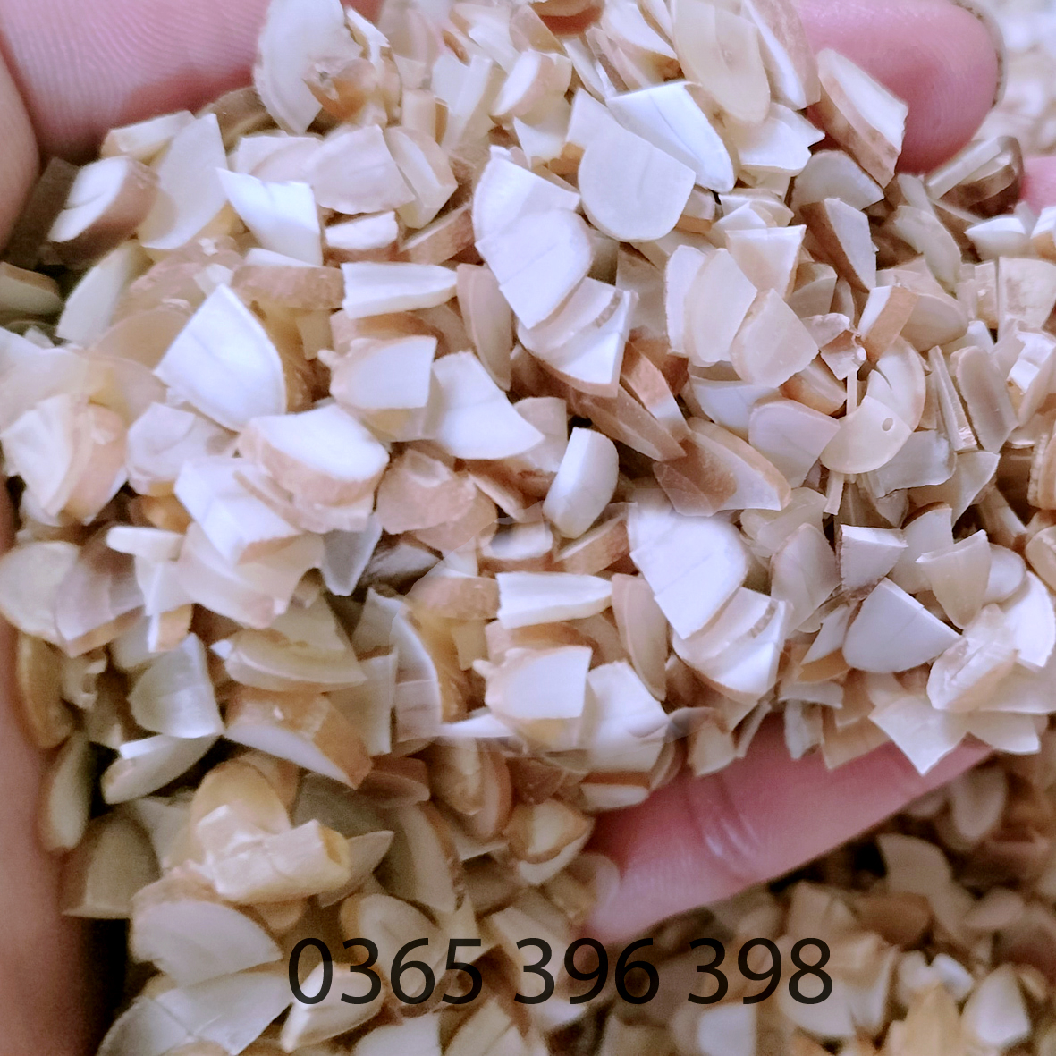 10 Hạt sang hạt sành đau dạ dày và đại tràng ( hạt trắng)