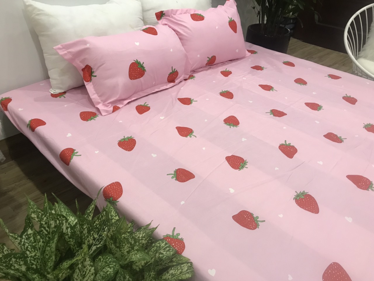 Set Ga Gối 3 Món (Gồm 1 Ga bo chun + 2 Vỏ Gối Nằm) SGG P9