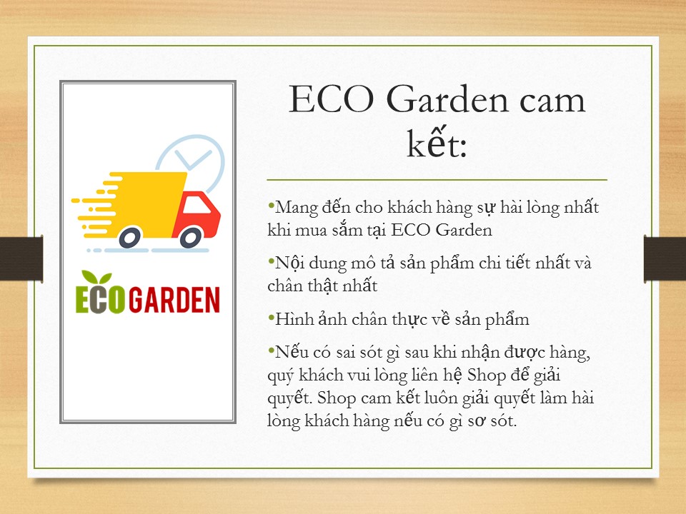 Hạt Giống Cà Chua Trái Tim Màu Đỏ (ECO.318)