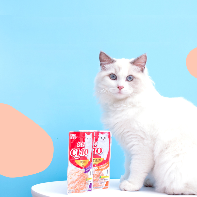 Combo Đặc Biệt - Pate và Súp Thưởng CIAO Mix Vị Cho Mèo
