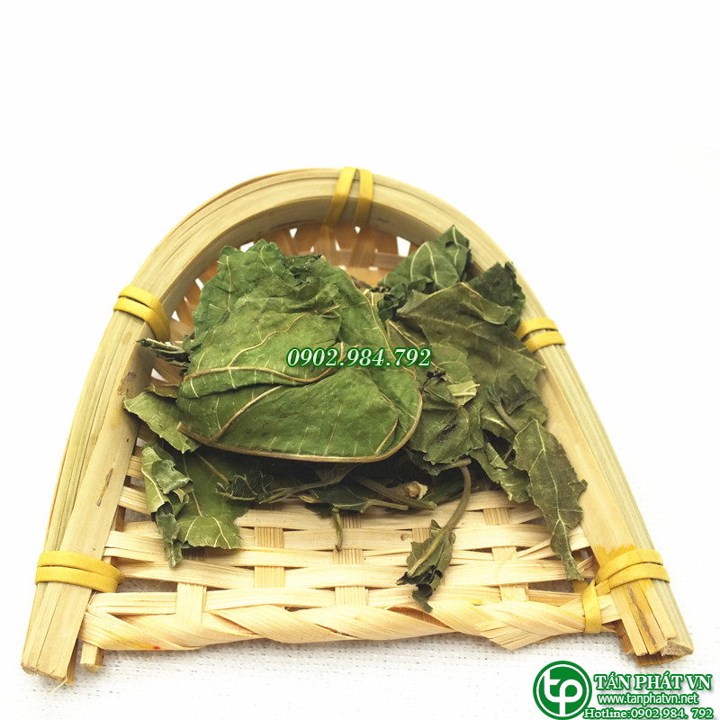 Lá dâu tằm sấy khô 500g - Tấn Phát