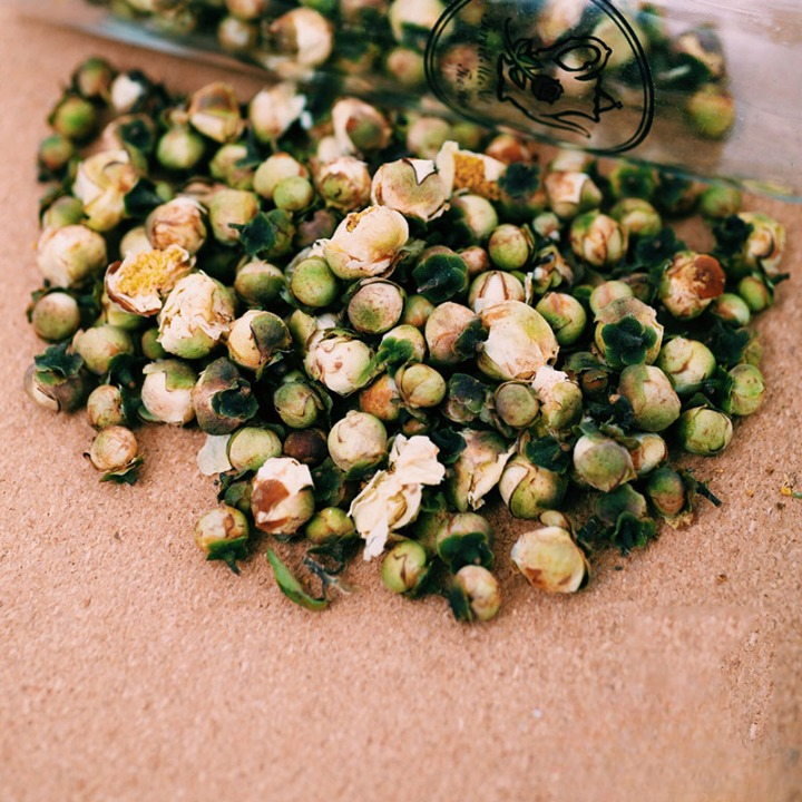 Hoa sen tuyết sấy
