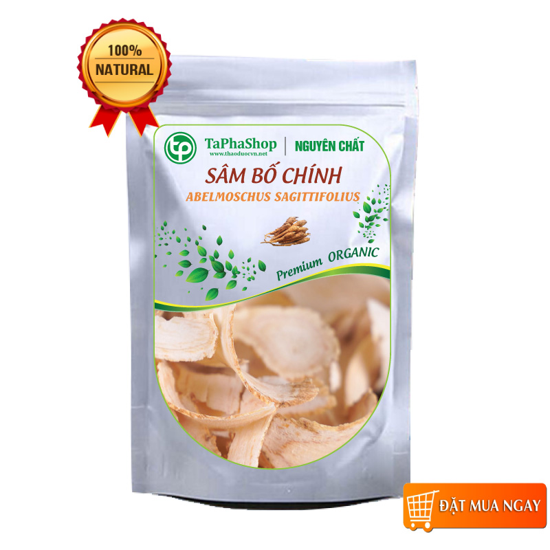 Sâm bố chính sấy khô 100g Tấn Phát