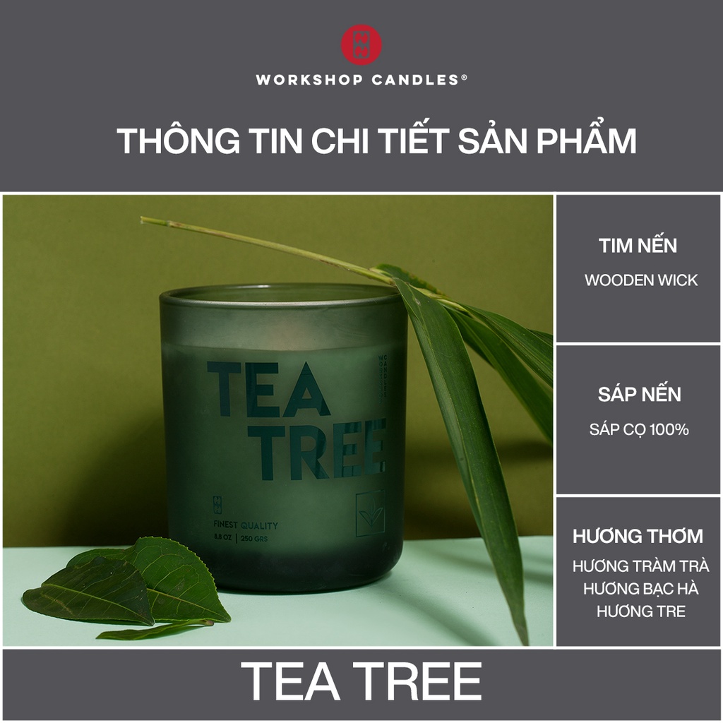 Workshop Candles - Nến thơm Tea Tree 9oz