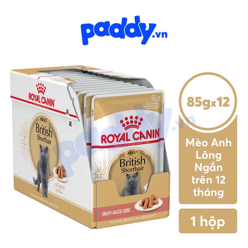 Pate Cho Mèo Anh Lông Ngắn Trưởng Thành Royal Canin British Shorthair Adult