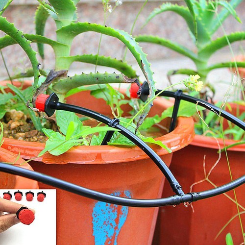 30 cái Tê chia ống 6mm