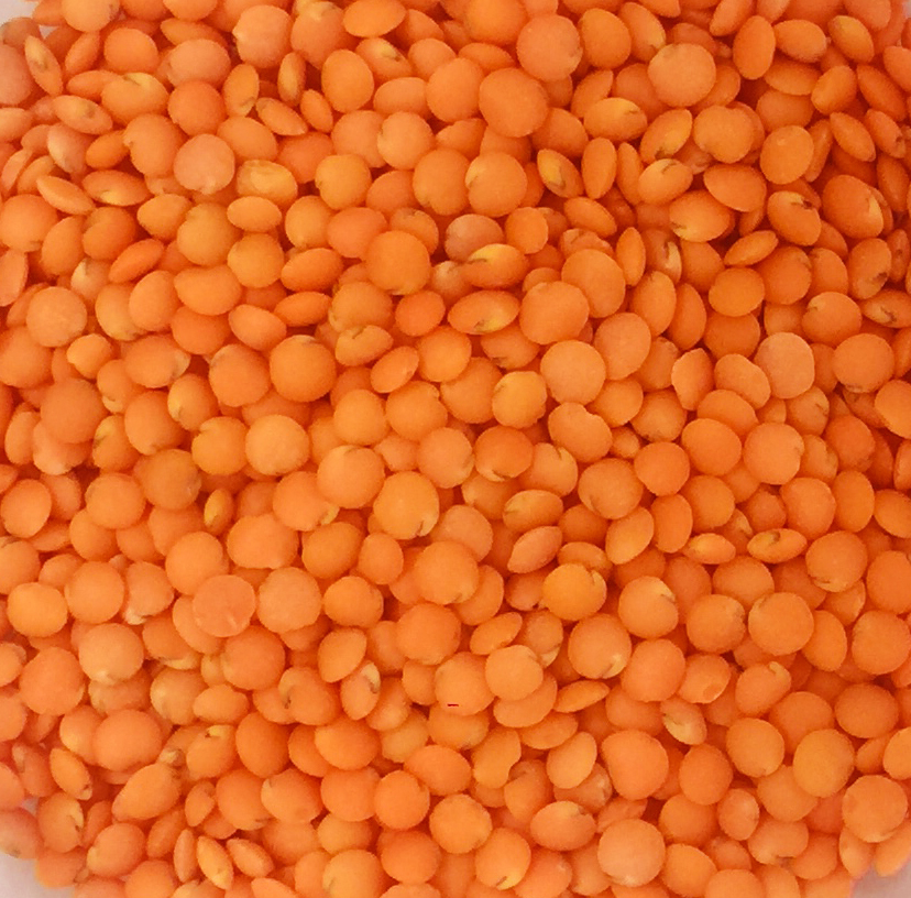 [HCM]Đậu Lăng Đỏ (Red Lentils) - Canada 500g