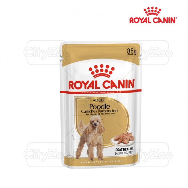 12x85g Thức ăn pate cho chó Poodle ROYAL CANIN Poodle Wet