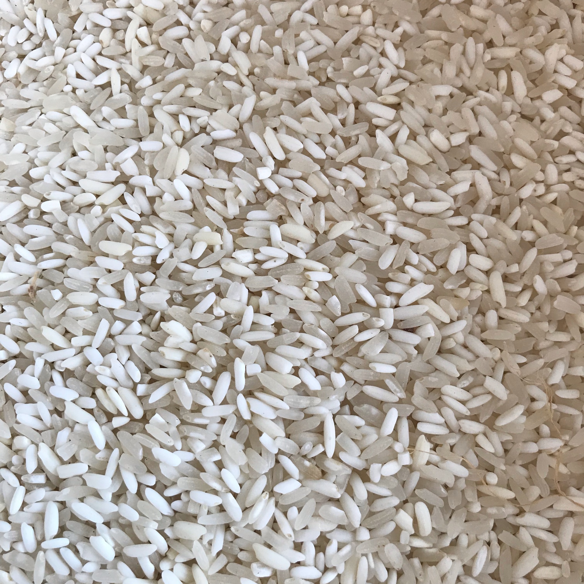 Gạo nếp điện biên (1kg)