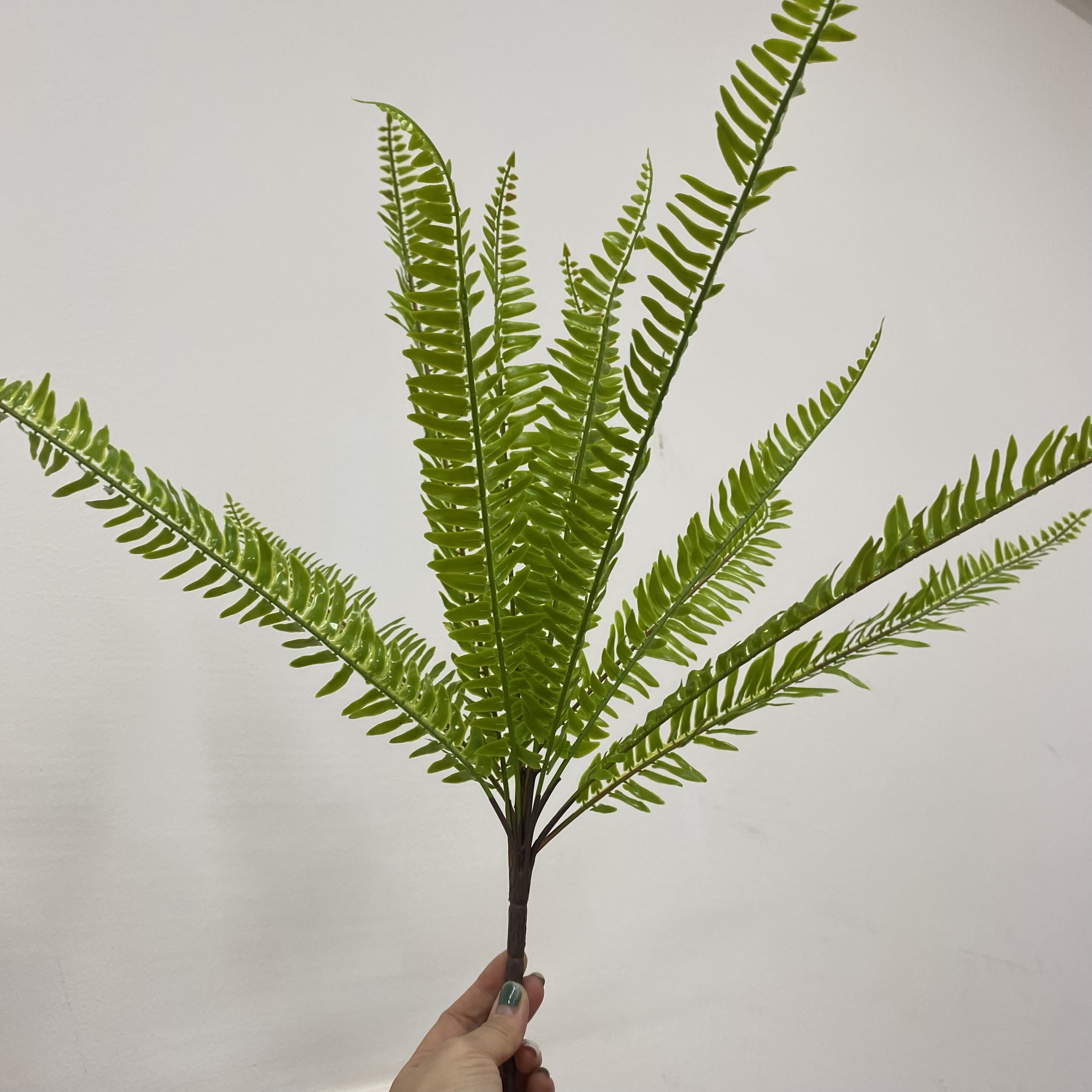 Cành dương sỉ 12 nhánh 075