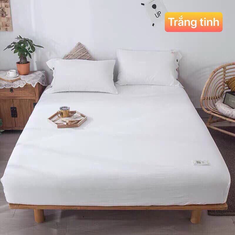 BỘ GA GỐI COTTON MỘT MÀU ĐƠN GIẢN
