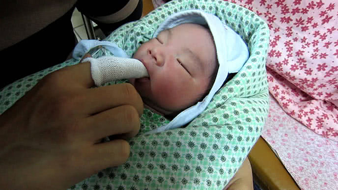 Rơ Lưỡi Đông Pha hộp 50 cái