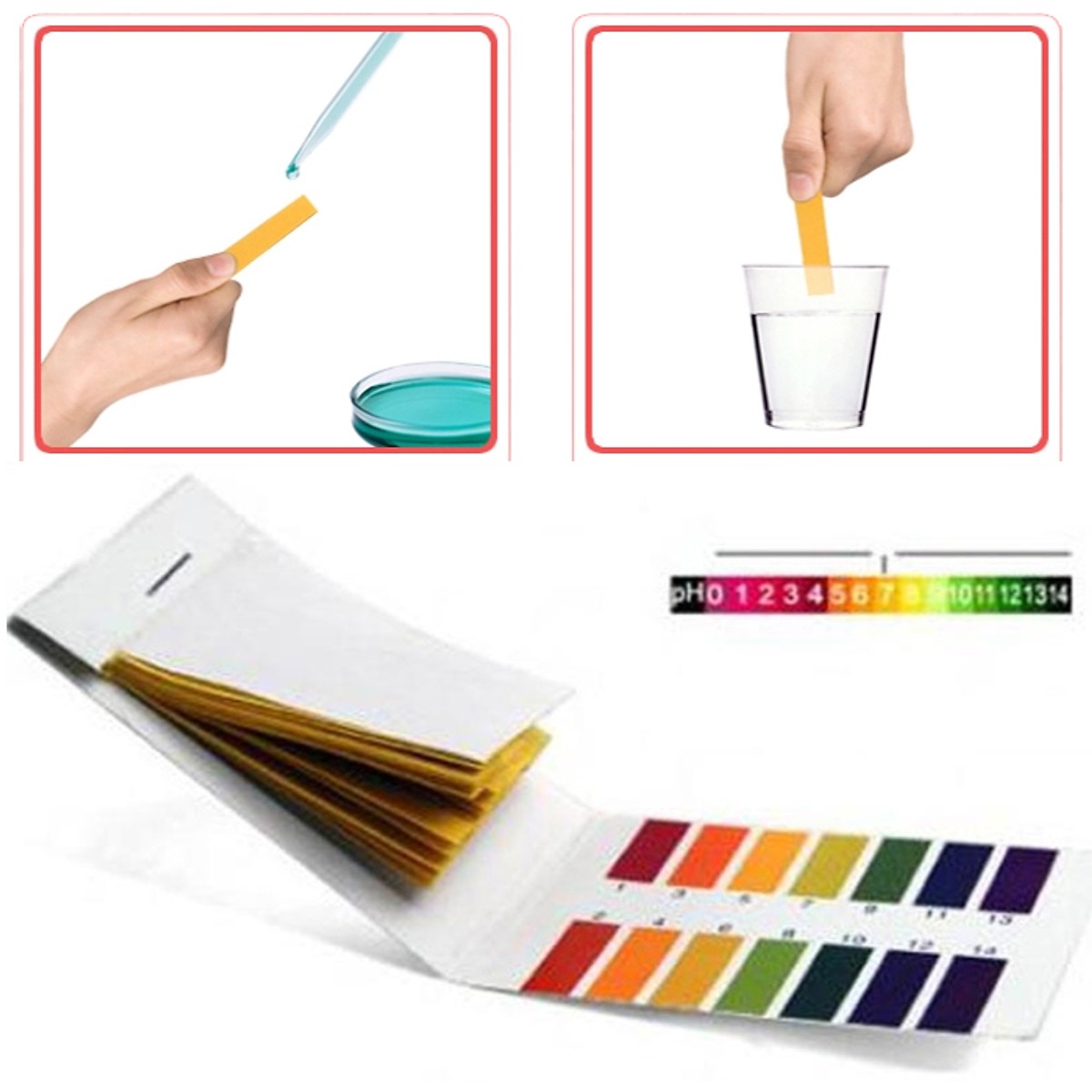 Giấy quỳ tím (2 tệp) kèm bảng màu