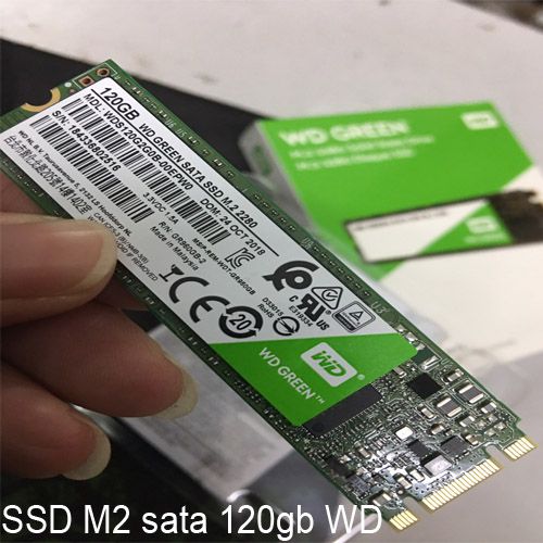 Ssd m2 sata wd green