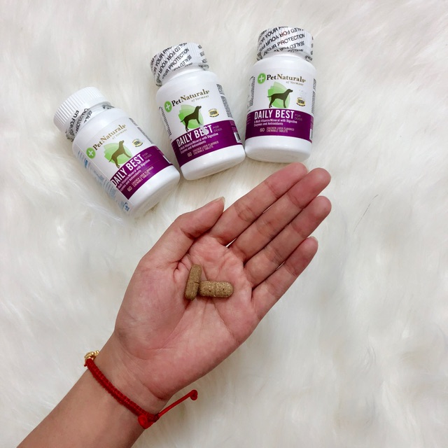 1 viên daily MULTI-VITAMIN dành cho chó