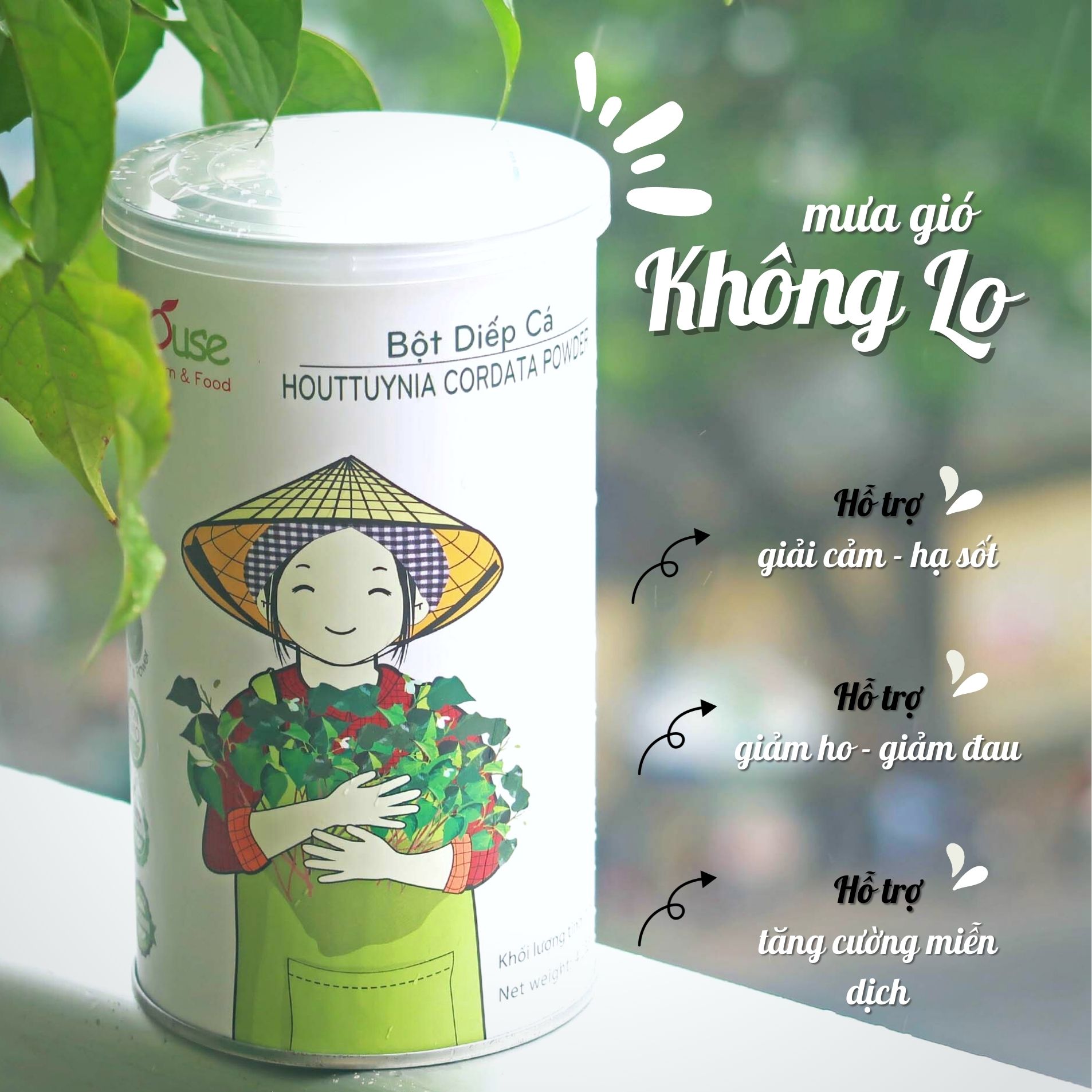 Bột diếp cá sấy lạnh Dalahouse hộp 120g