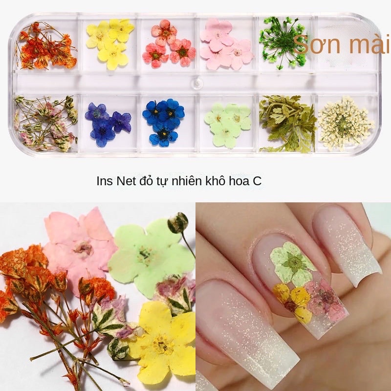 hoa khô nail làm nail dán móng tay