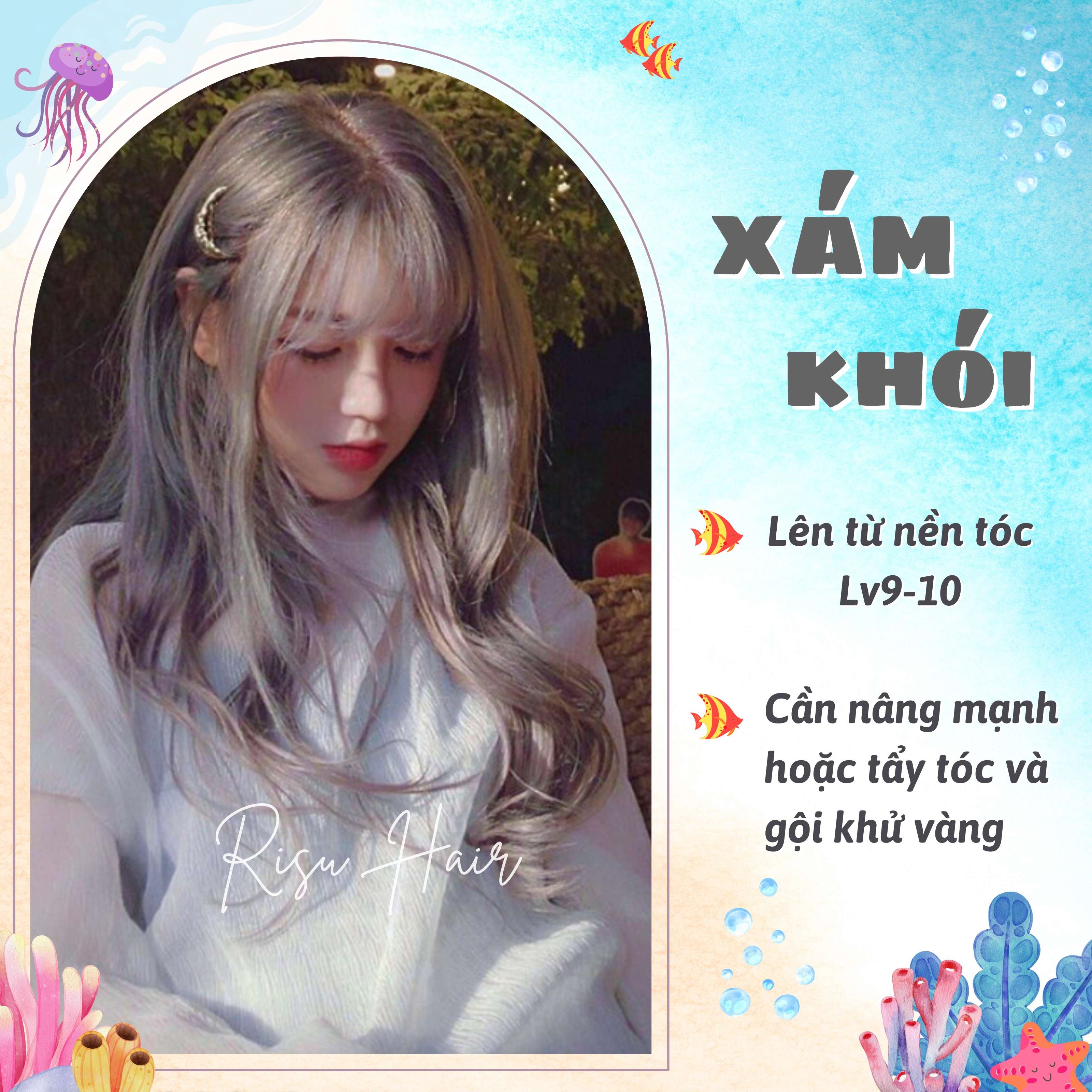 Thuốc Nhuộm Tóc Màu Xám Khói - Risu Hair.