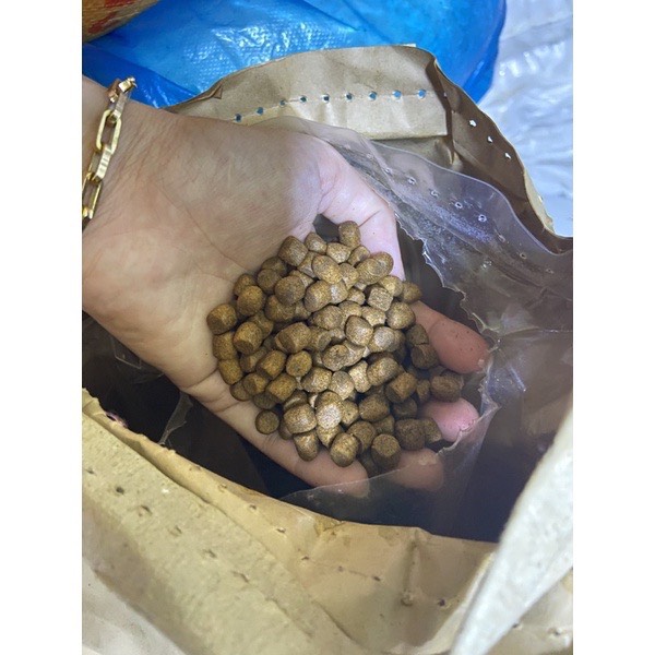 Thức ăn cá Koi Hikari Growth túi 1kg - Hạt size L