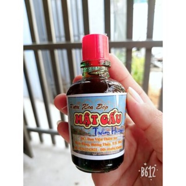 COMBO 10 chai dầu xoa bóp cây mật gấu trầm hương