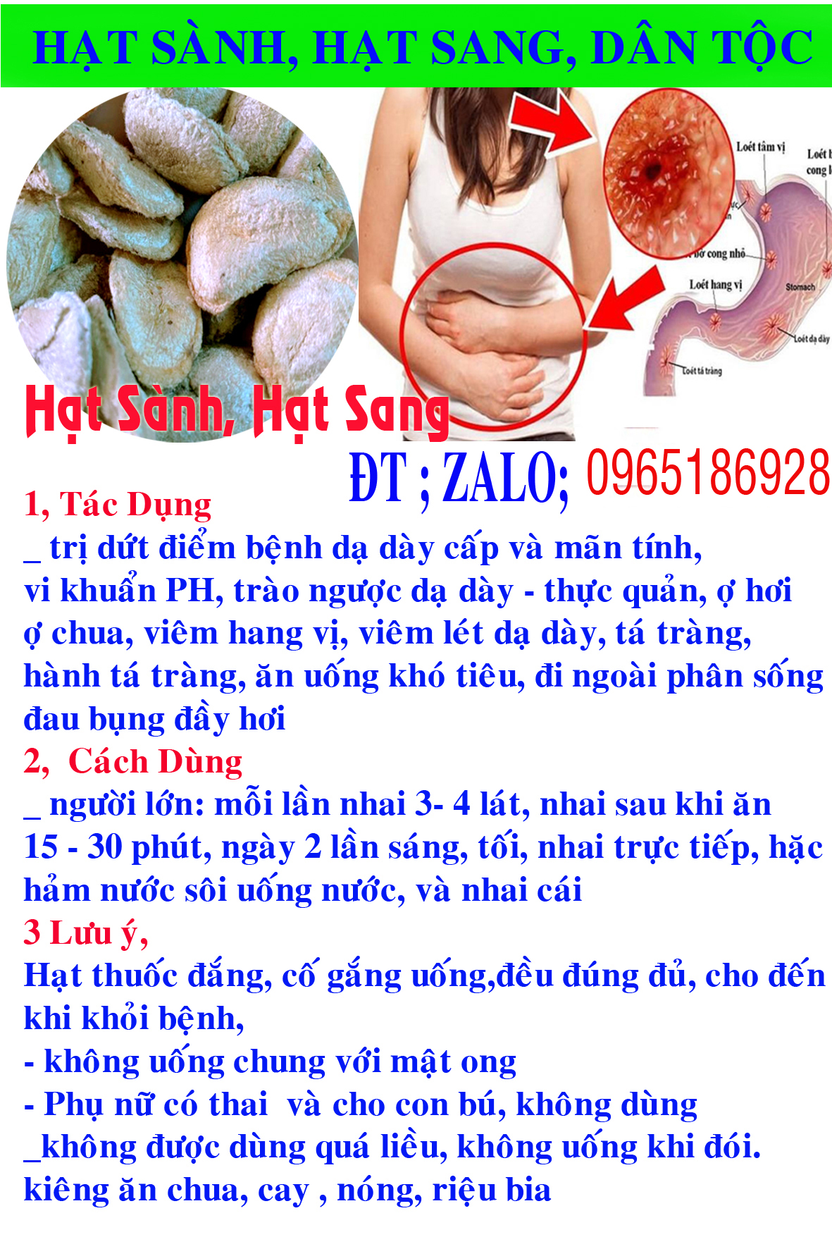 10 Hạt sang hạt sành đau dạ dày và đại tràng ( hạt trắng)