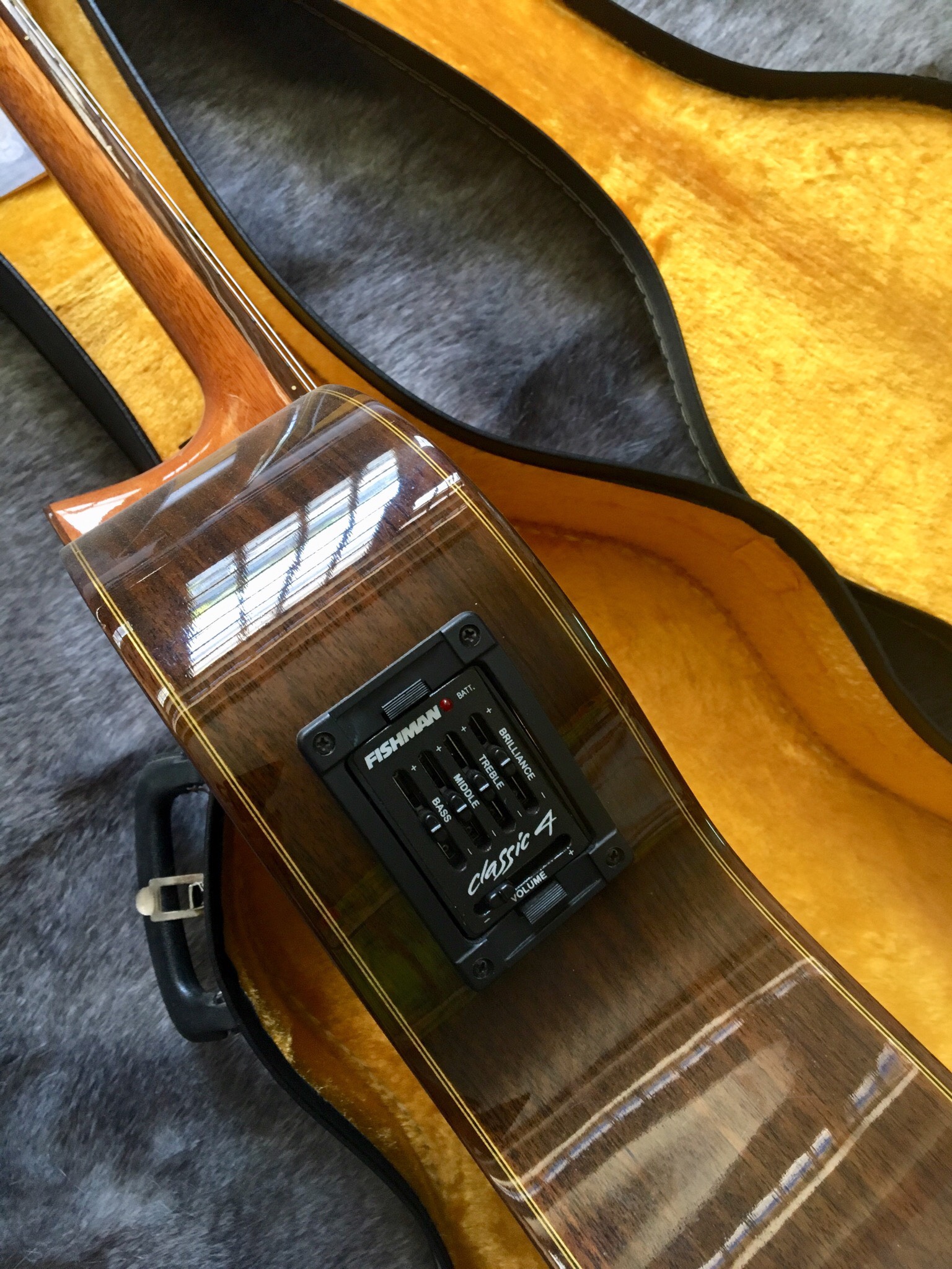 Guitar Aria ew 60