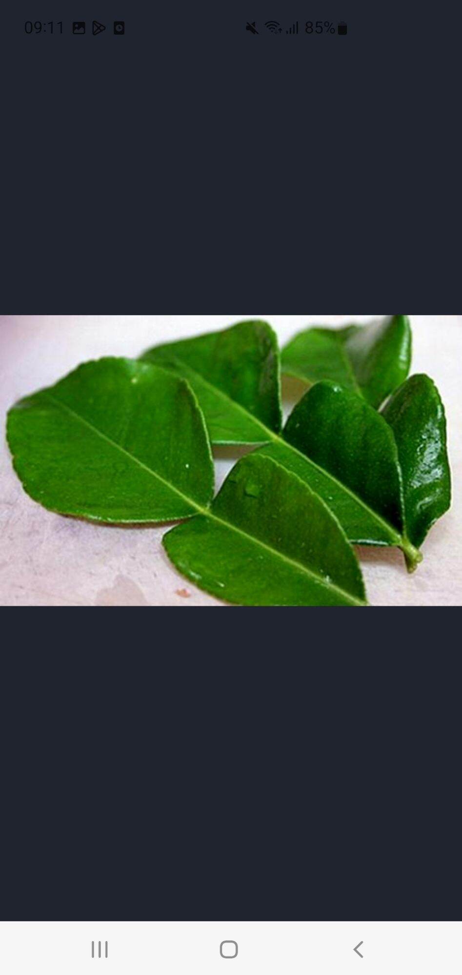 100gr Lá chanh ( tươi)