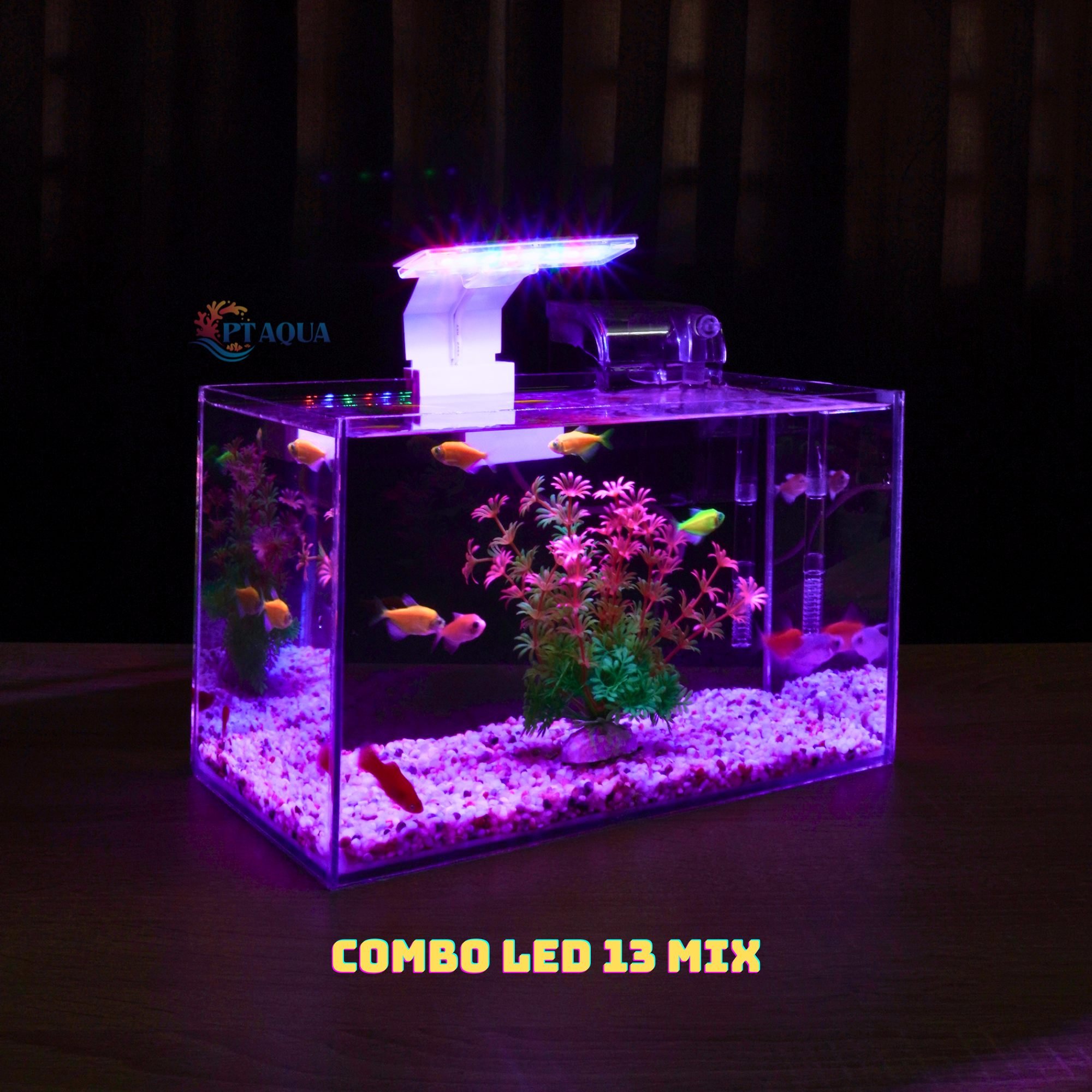 Bể cá mini FULL COMBO để bàn đầy đủ phụ kiện