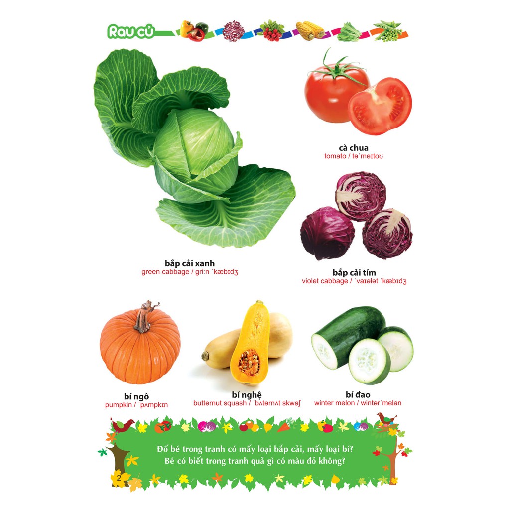Sách- Từ Điển Tranh Về Rau - Củ - Quả - Hoa (ML)