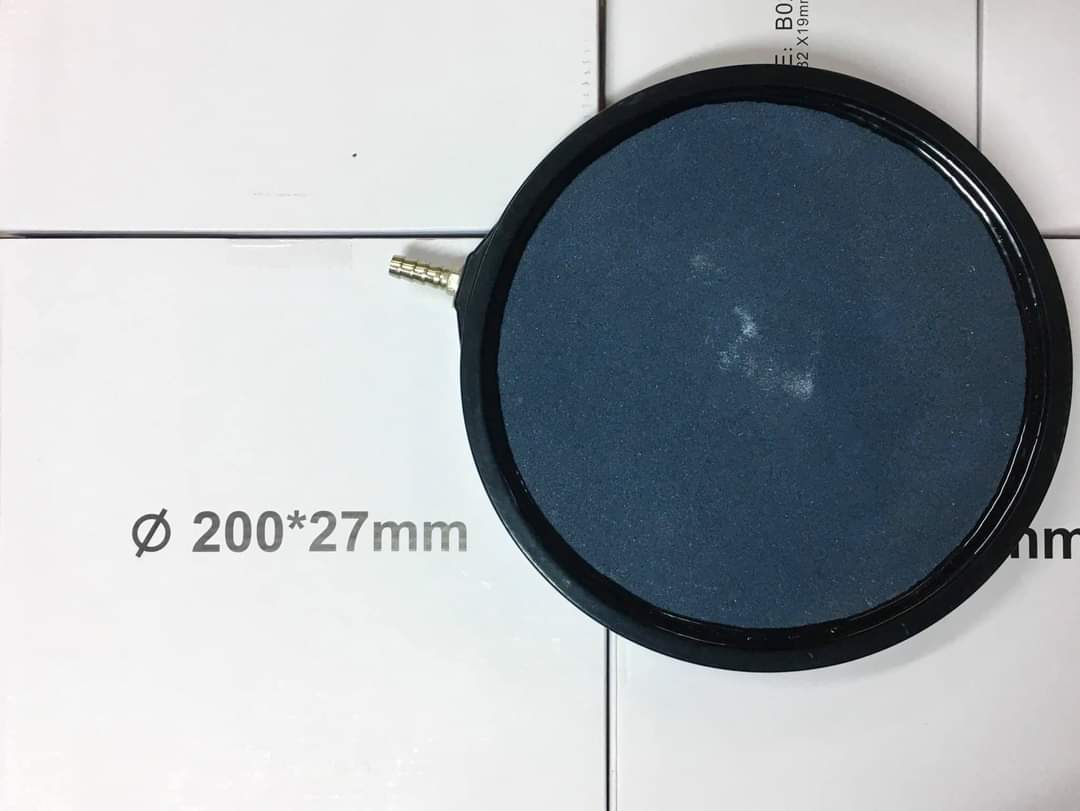 Dĩa sủi oxi 20cm