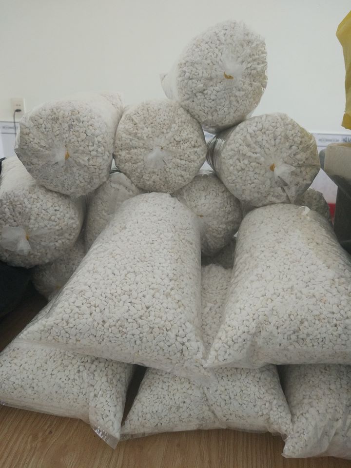 Đất xốp ấp trứng bò sát và trồng cây (100g/gói)