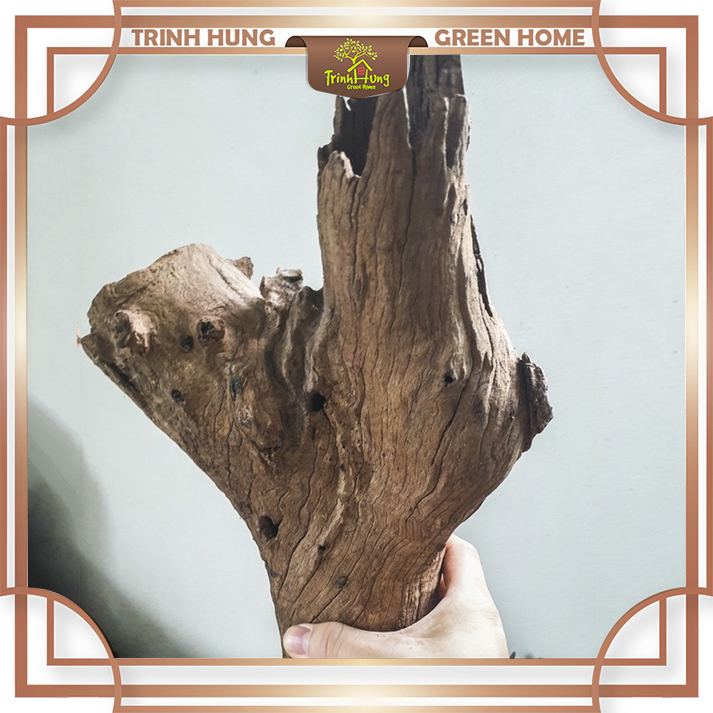 Gỗ lũa san đá ống sl 1kg