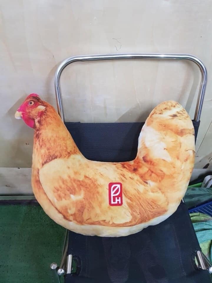 GẤU BÔNG HÌNH GÀ MÁI 3D SIZE 60CM