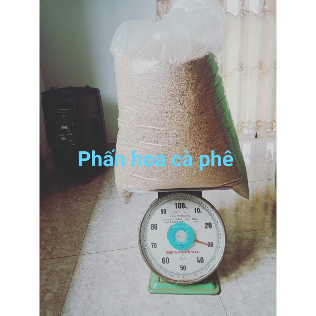 1 kg phấn hoa cà phê nguyên chất đăk lăk