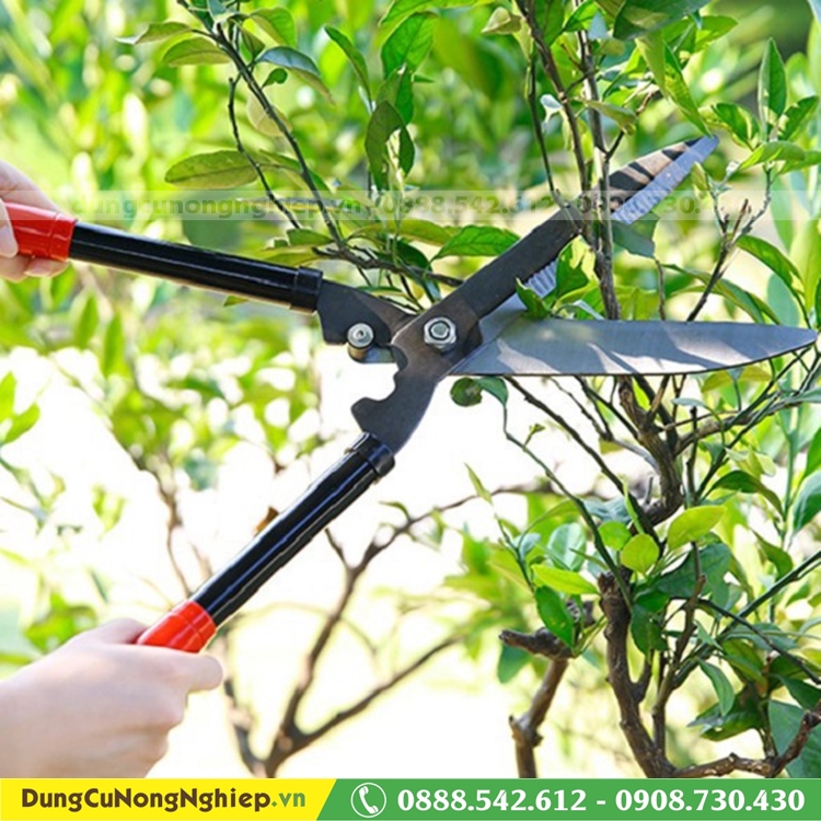 Kéo cắt cỏ hàng rào 53cm