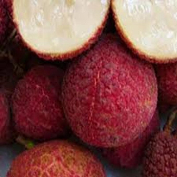 CÂY GIỐNG VẢI THIỀU DÒNG QUẢ SỚM