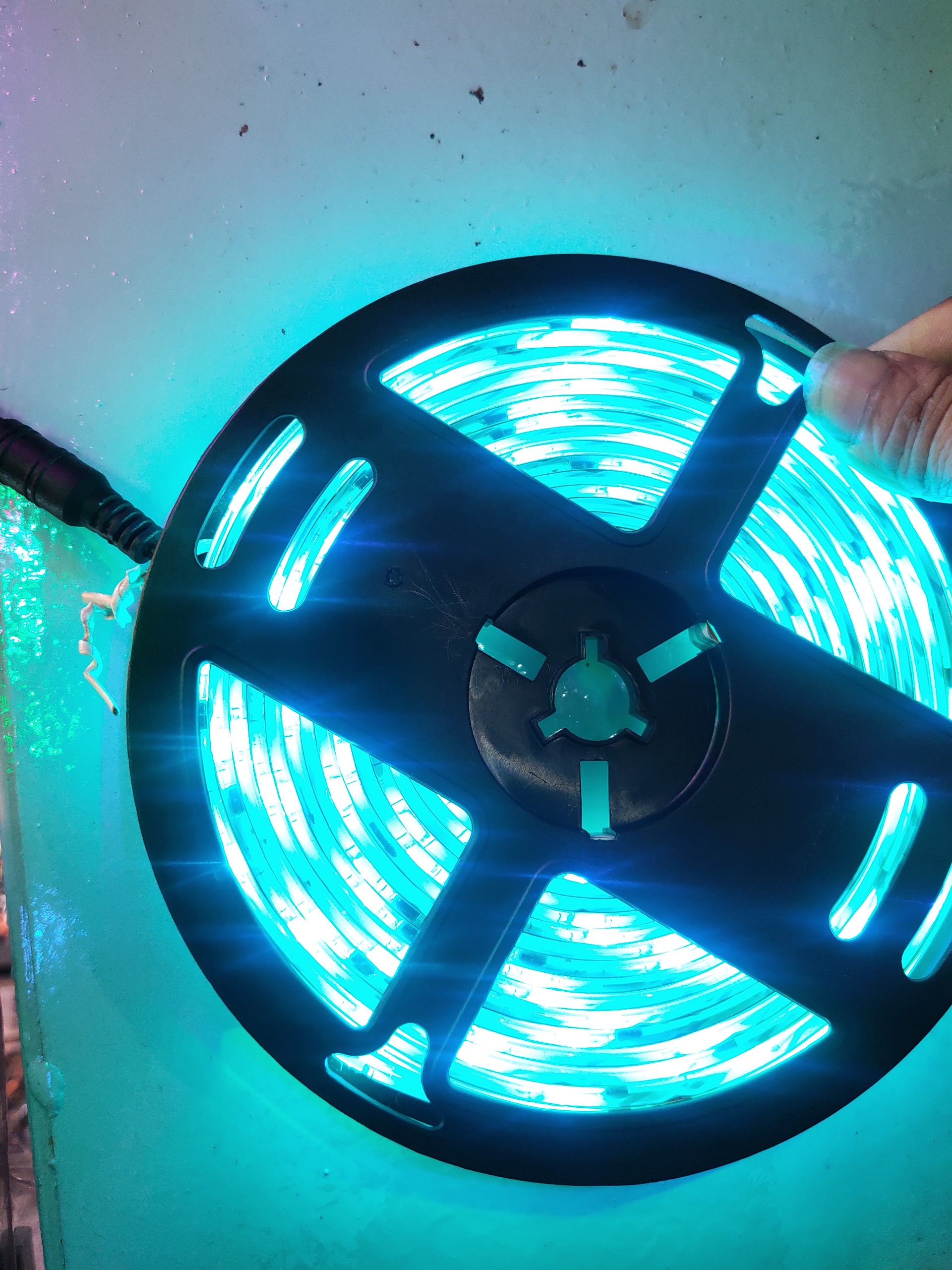 LED DÂY 5050 FULL 1903 PHỦ NHỰA (CUỘN 5M) HS
