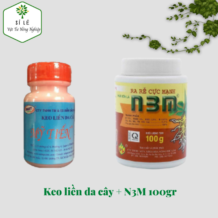 Combo keo liền da cây và N3M 100gr