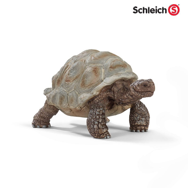 Mua Đồ Chơi Mô Hình SCHLEICH Bộ Động Vật Bắc Cực 42531 tại Mykingdom Official Store #32 Mua Đồ Chơi Mô Hình SCHLEICH Bộ Động Vật Bắc Cực 42531 tại Mykingdom Official Store