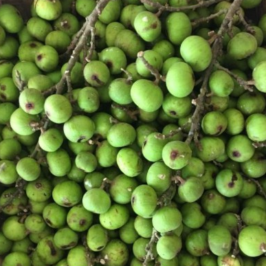 GIẢM- 1kg Quả sung khô thái lát thơm ngon a9