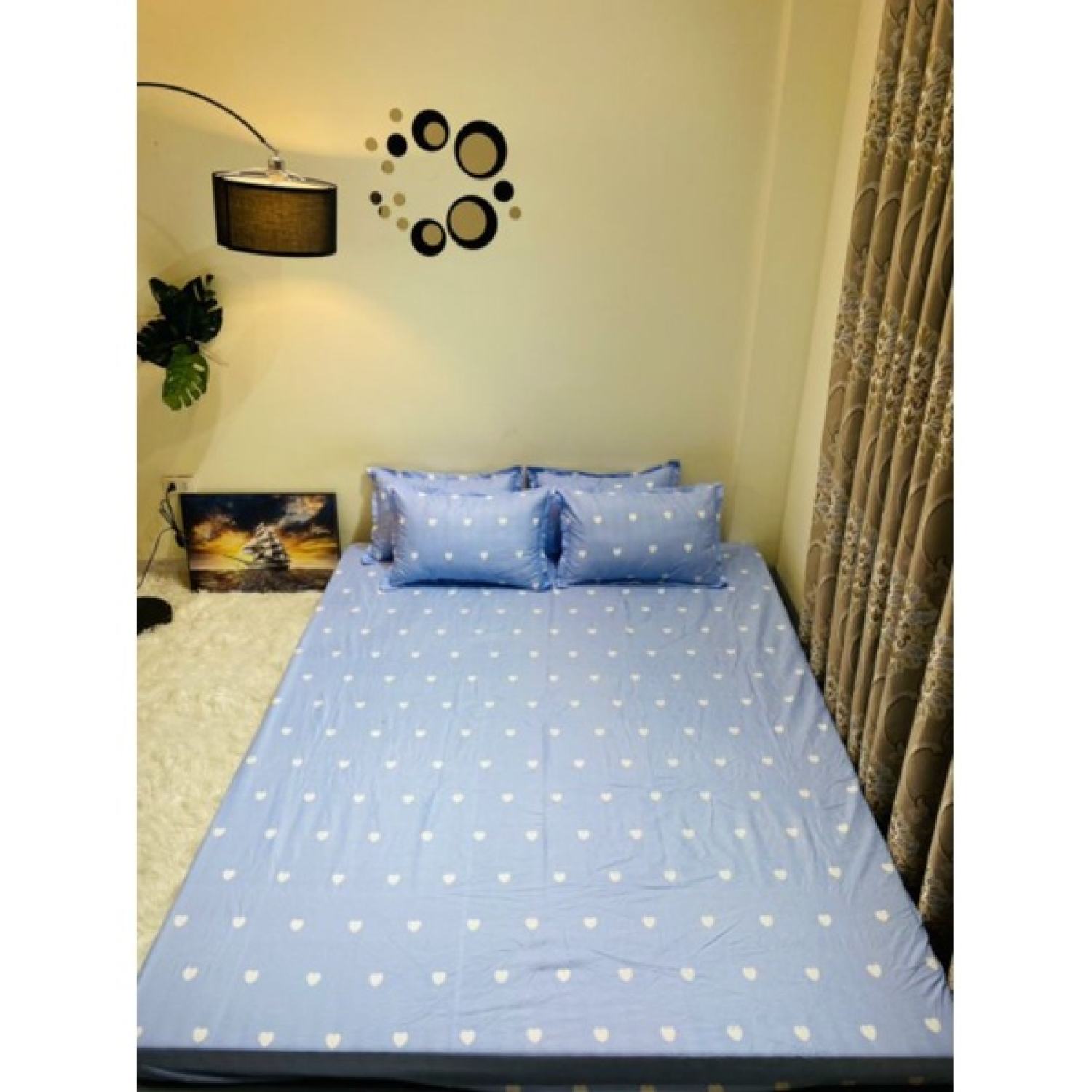🎊Set 1 ga + 2 vỏ gối cotton poly🎊