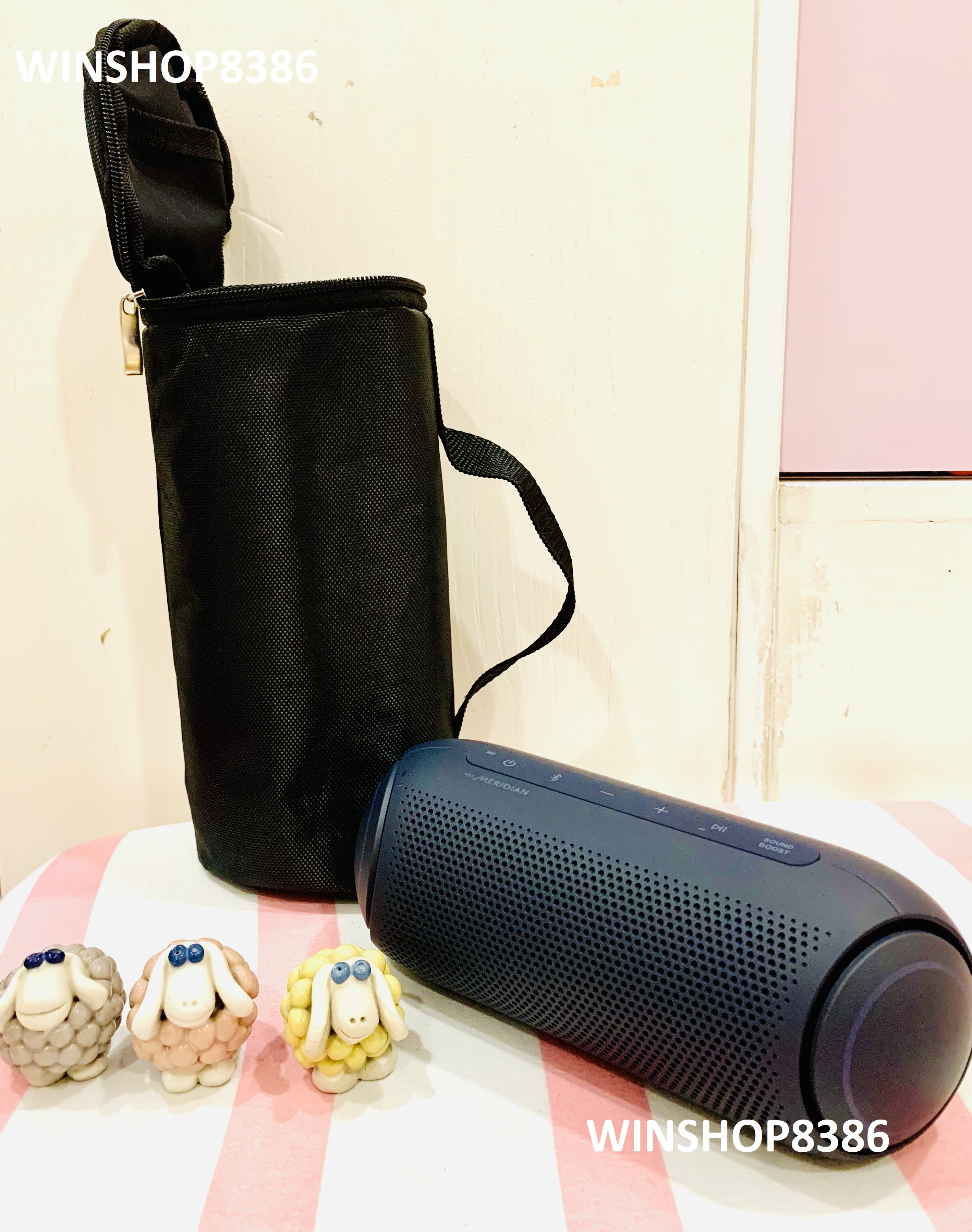 Túi đựng loa LG Xboom PL5