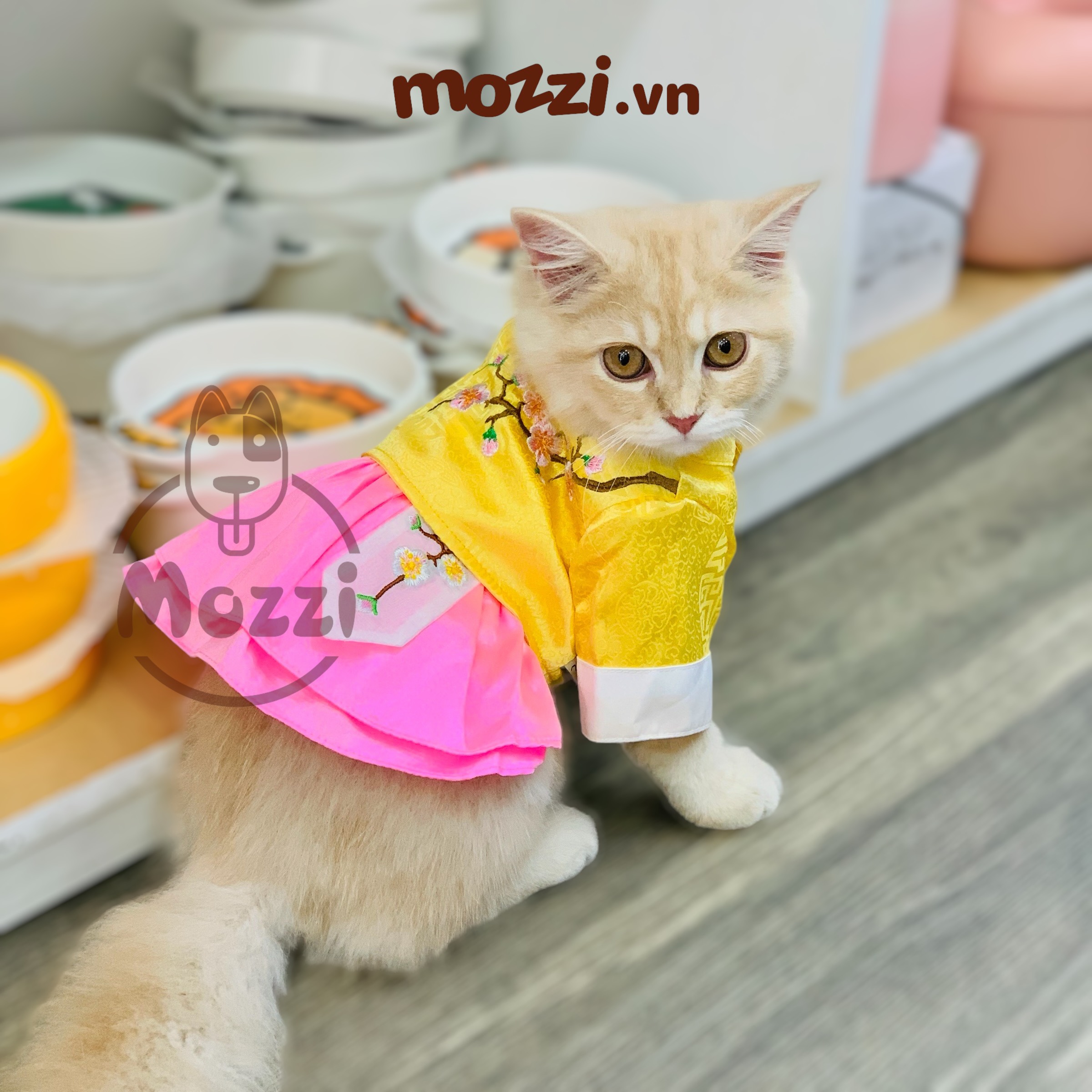 Đầm Hanbok Hàn Quốc cho chó mèo