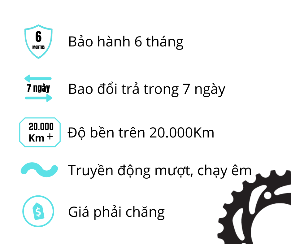 [FreeshipMAX] [HCM]NHÔNG SÊN DĨA DREAM VÀNG