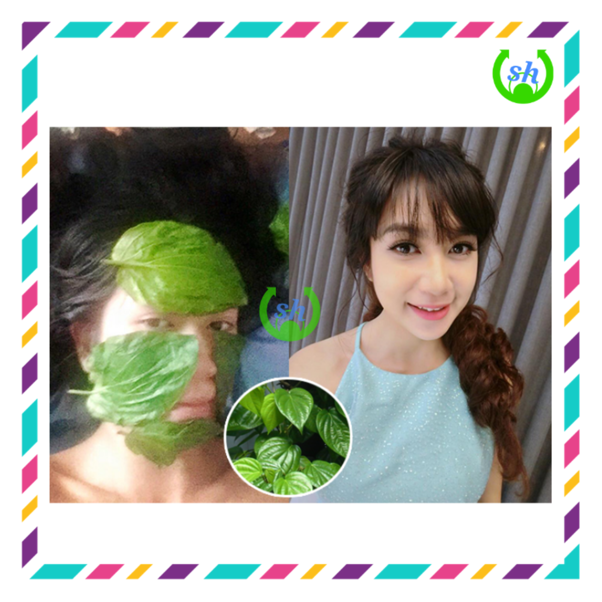 [HCM]Bếp hơ lá trầu cho bé - hơ mặt cho mẹ