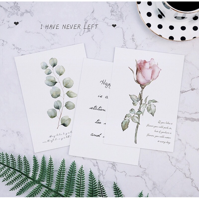 Bìa tạp chí decor new
