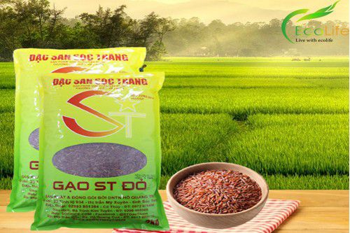 GẠO LỨT ST ĐỎ - SÓC TRĂNG - TÚI 2KG