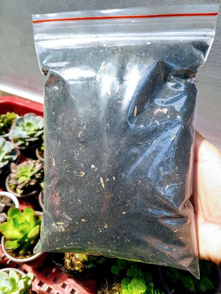 Đất Trồng Dâu Tây Pha Sẵn 500gram