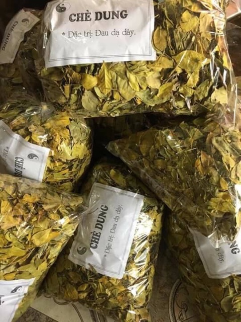 1kg Chè dung lá trị đau dạ dày chất lượng